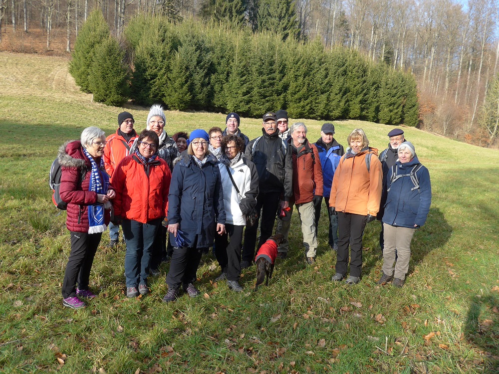 You are currently viewing Wanderung „Den Böllbach aufwärts“